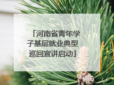 河南省青年学子基层就业典型巡回宣讲启动