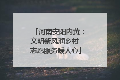 河南安阳内黄：文明新风润乡村 志愿服务暖人心