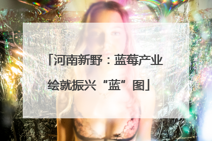 河南新野：蓝莓产业绘就振兴“蓝”图