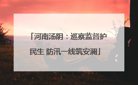 河南汤阴：巡察监督护民生 防汛一线筑安澜