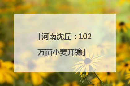 河南沈丘：102 万亩小麦开镰
