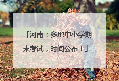 河南：多地中小学期末考试，时间公布！
