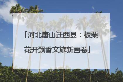 河北唐山迁西县：板栗花开飘香文旅新画卷