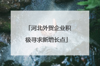 河北外贸企业积极寻求新增长点
