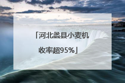 河北蠡县小麦机收率超95%