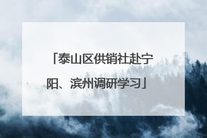 泰山区供销社赴宁阳、滨州调研学习