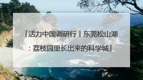 活力中国调研行丨东莞松山湖：荔枝园里长出来的科学城