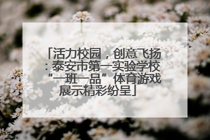活力校园，创意飞扬：泰安市第一实验学校“一班一品”体育游戏展示精彩纷呈