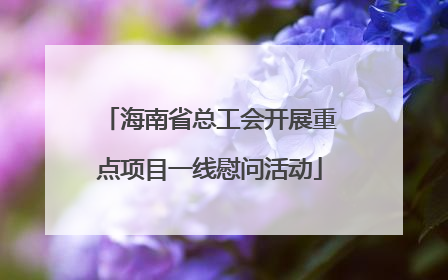 海南省总工会开展重点项目一线慰问活动