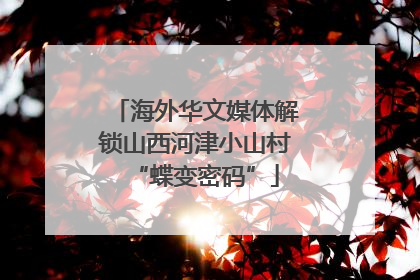 海外华文媒体解锁山西河津小山村“蝶变密码”