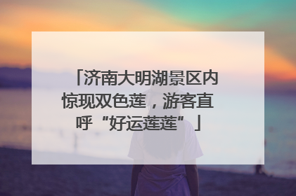 济南大明湖景区内惊现双色莲，游客直呼“好运莲莲”