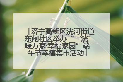 济宁高新区洸河街道东闸社区举办“‘洸’暖万家·幸福家园”端午节幸福集市活动