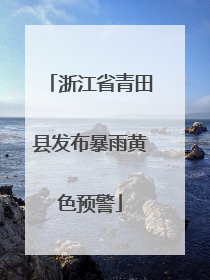 浙江省青田县发布暴雨黄色预警