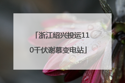 浙江绍兴投运110千伏谢慕变电站