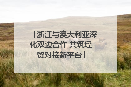 浙江与澳大利亚深化双边合作 共筑经贸对接新平台