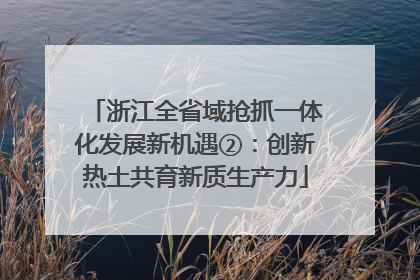浙江全省域抢抓一体化发展新机遇②：创新热土共育新质生产力
