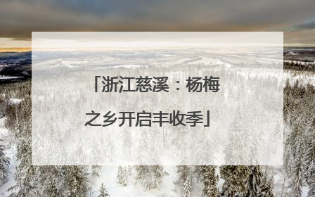 浙江慈溪：杨梅之乡开启丰收季