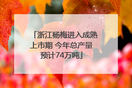 浙江杨梅进入成熟上市期 今年总产量预计74万吨