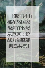 浙江舟山桃花岛国家级海洋牧场示范区：统战力量赋能海岛共富