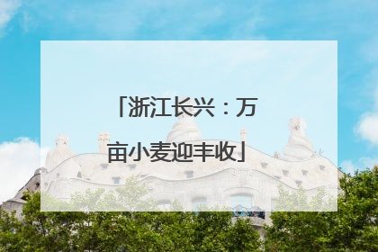 浙江长兴：万亩小麦迎丰收