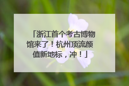 浙江首个考古博物馆来了！杭州顶流颜值新地标，冲！