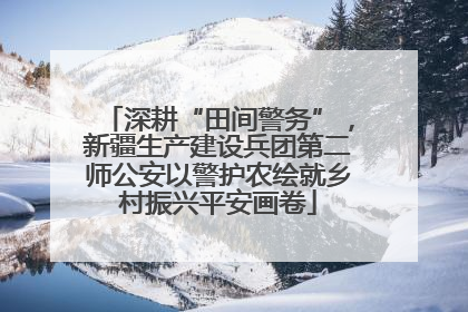 深耕“田间警务”，新疆生产建设兵团第二师公安以警护农绘就乡村振兴平安画卷
