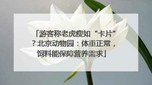 游客称老虎瘦如“卡片”？北京动物园：体重正常，饲料能保障营养需求