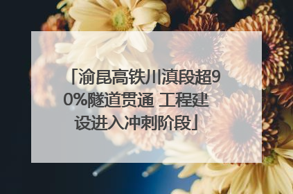渝昆高铁川滇段超90%隧道贯通 工程建设进入冲刺阶段
