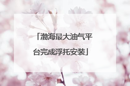 渤海最大油气平台完成浮托安装