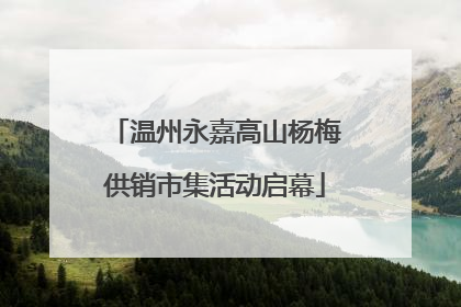 温州永嘉高山杨梅供销市集活动启幕