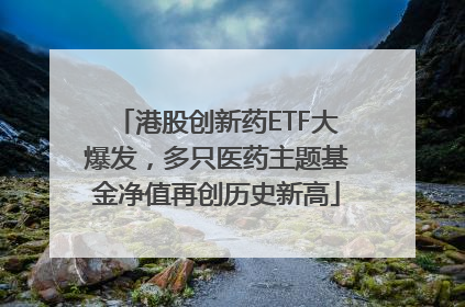 港股创新药ETF大爆发，多只医药主题基金净值再创历史新高