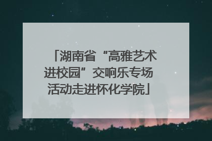 湖南省“高雅艺术进校园”交响乐专场活动走进怀化学院