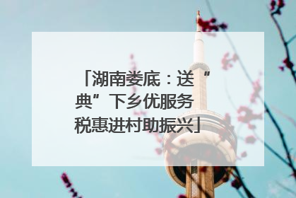 湖南娄底：送“典”下乡优服务 税惠进村助振兴