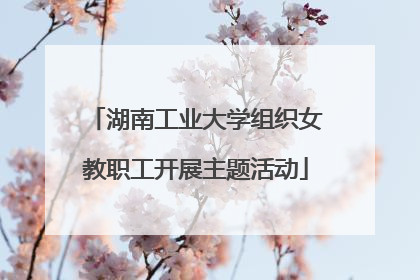 湖南工业大学组织女教职工开展主题活动