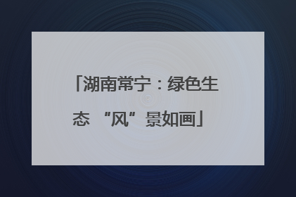 湖南常宁：绿色生态 “风”景如画