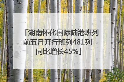 湖南怀化国际陆港班列前五月开行班列481列 同比增长45%