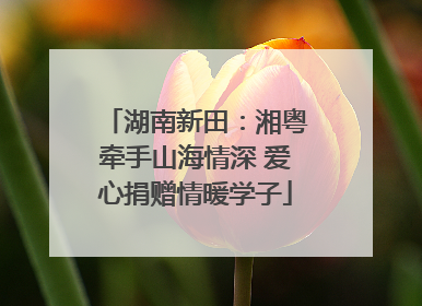 湖南新田：湘粤牵手山海情深 爱心捐赠情暖学子