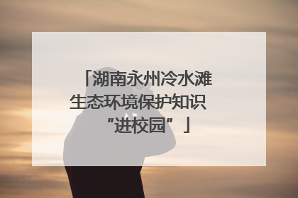 湖南永州冷水滩生态环境保护知识“进校园”