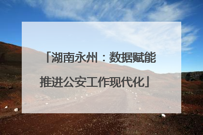 湖南永州：数据赋能推进公安工作现代化