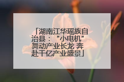 湖南江华瑶族自治县：“小电机”舞动产业长龙 奔赴千亿产业盛景