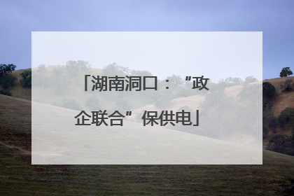 湖南洞口：“政企联合”保供电