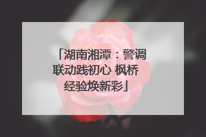 湖南湘潭：警调联动践初心 枫桥经验焕新彩