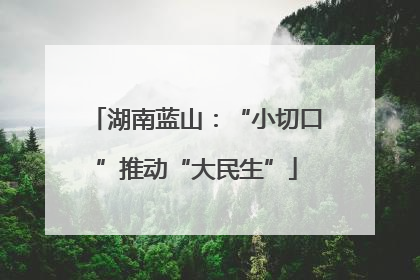 湖南蓝山：“小切口”推动“大民生”