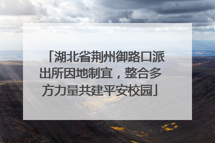 湖北省荆州御路口派出所因地制宜，整合多方力量共建平安校园