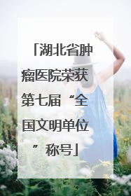 湖北省肿瘤医院荣获第七届“全国文明单位”称号