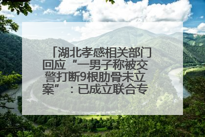 湖北孝感相关部门回应“一男子称被交警打断9根肋骨未立案”：已成立联合专班开展工作