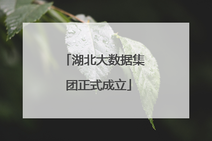 湖北大数据集团正式成立
