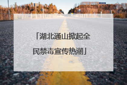 湖北通山掀起全民禁毒宣传热潮