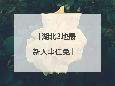 湖北3地最新人事任免
