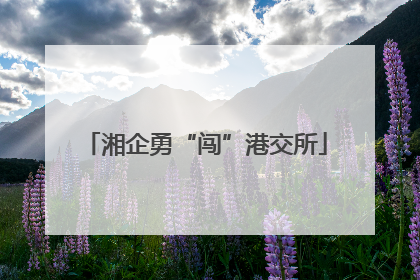 湘企勇“闯”港交所
